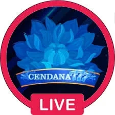 cendana777 Terbaru: Download APK Resmi dan Aman dan mpo303: Rangkuman Brand yang Banyak Dicari